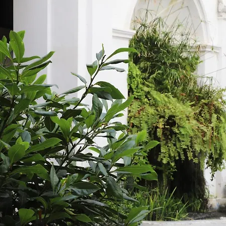 Ave Gratia Plena * 萨莱诺