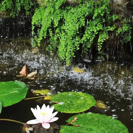 Ave Gratia Plena 旅馆 *